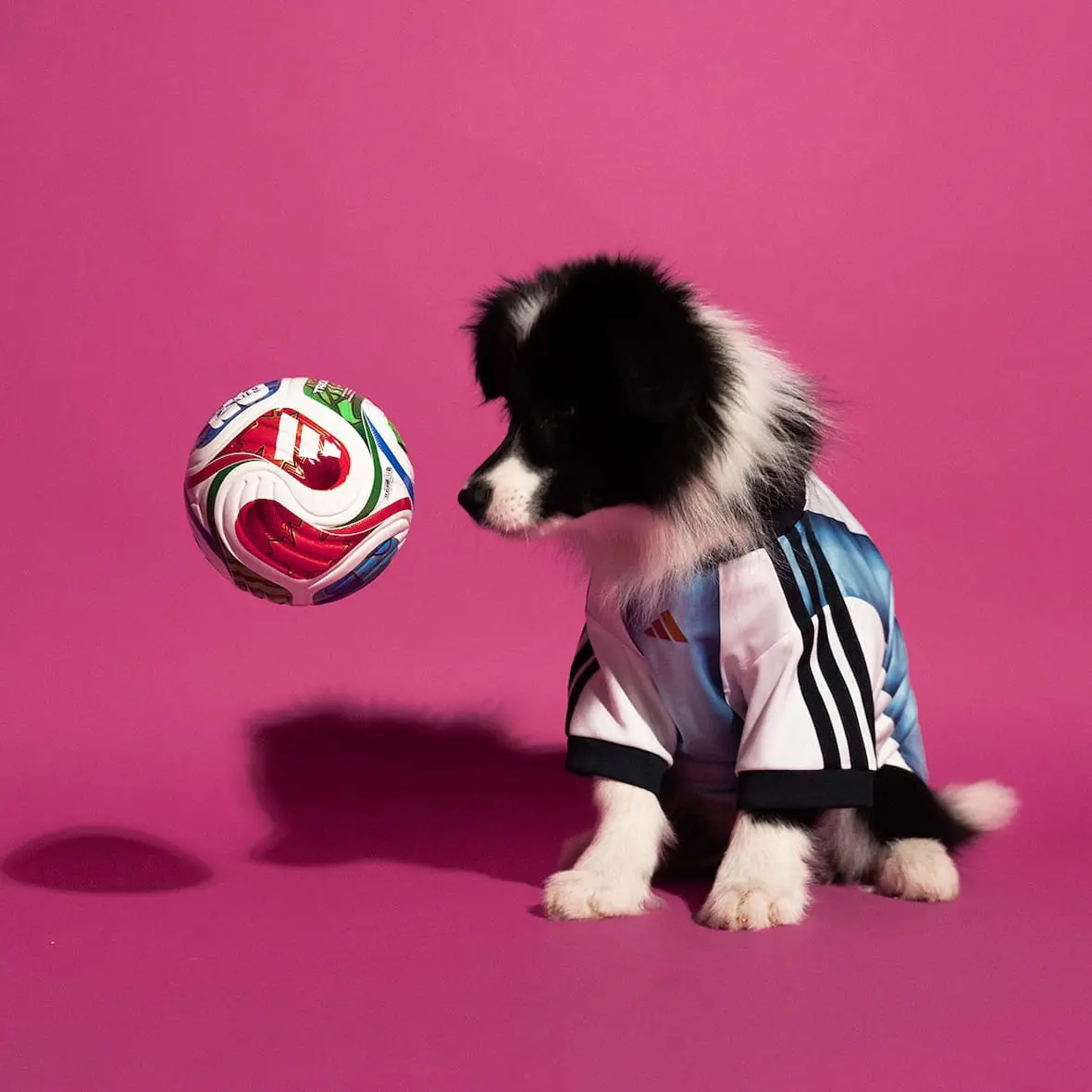 adidas-maillot-chien-coupe-du-monde-2026