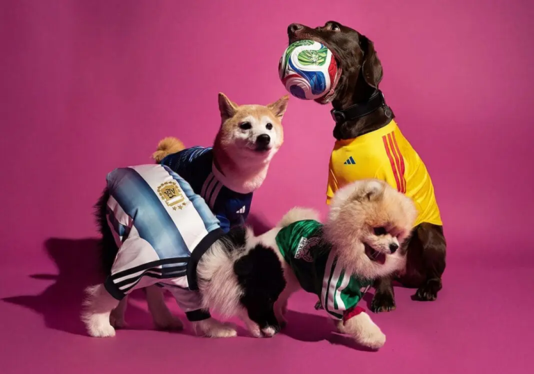 adidas-maillots-chiens-coupe-du-monde-2026-1.jpg