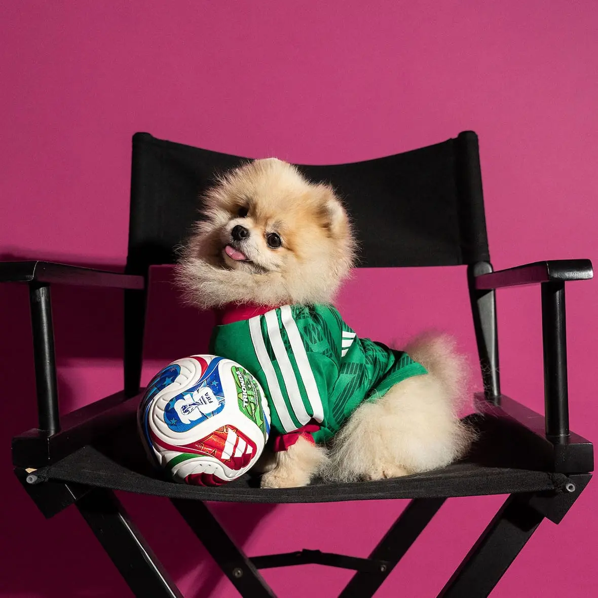 adidas-maillots-chiens-coupe-du-monde