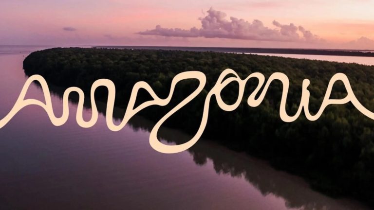 amazonie-identite-visuelle-fleuve-typographie-futurebrand-embratur-20260410.jpg