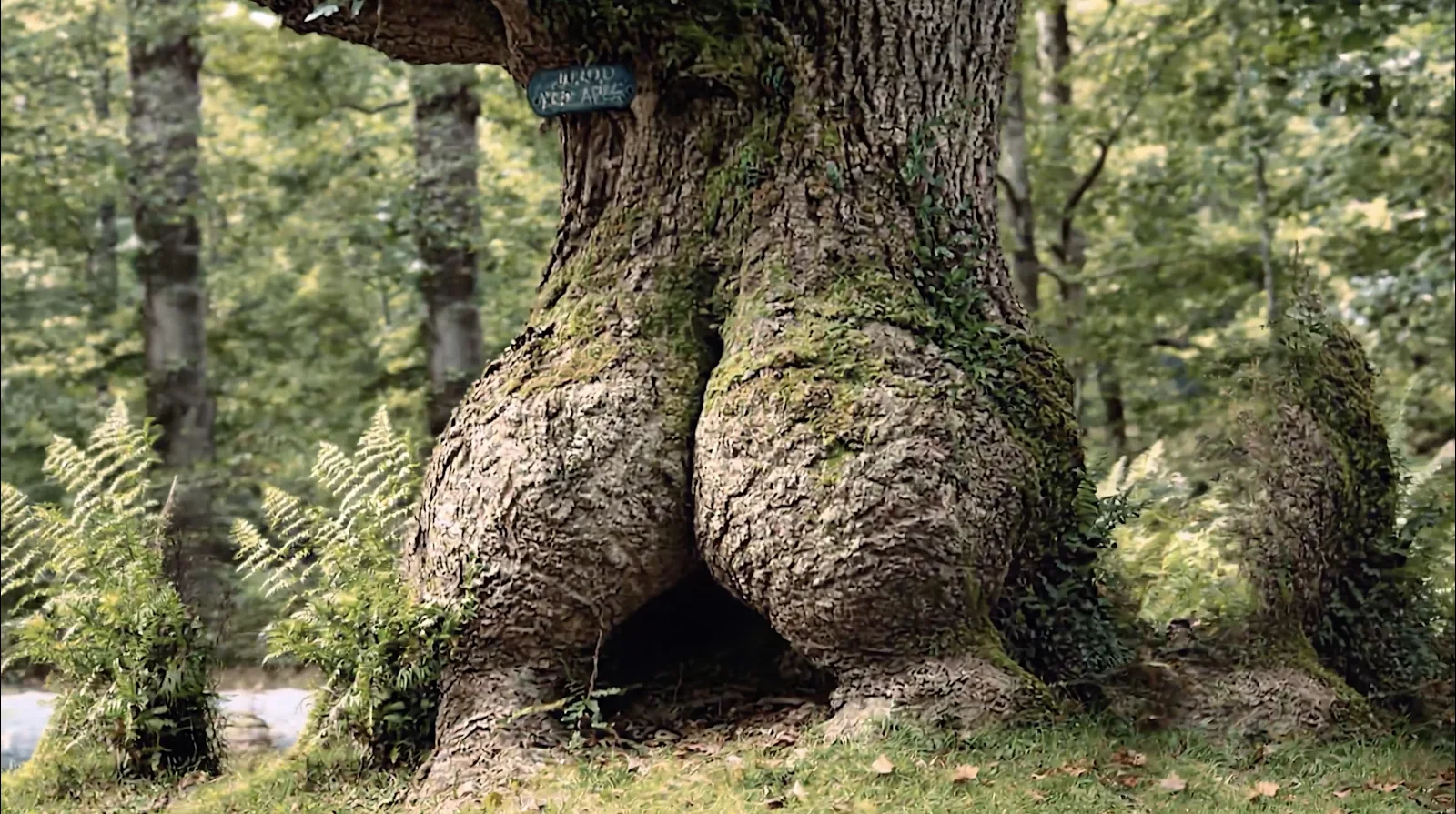 Capture-decran-2026-03-12-a-16.35.23