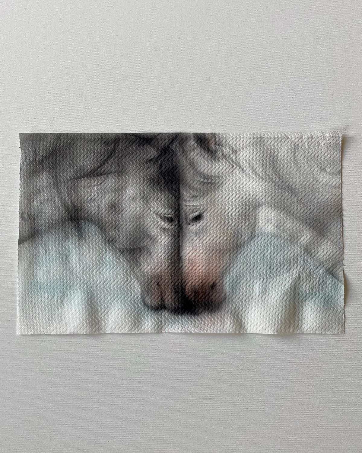 helena-minginowicz-peinture-art-serviettes