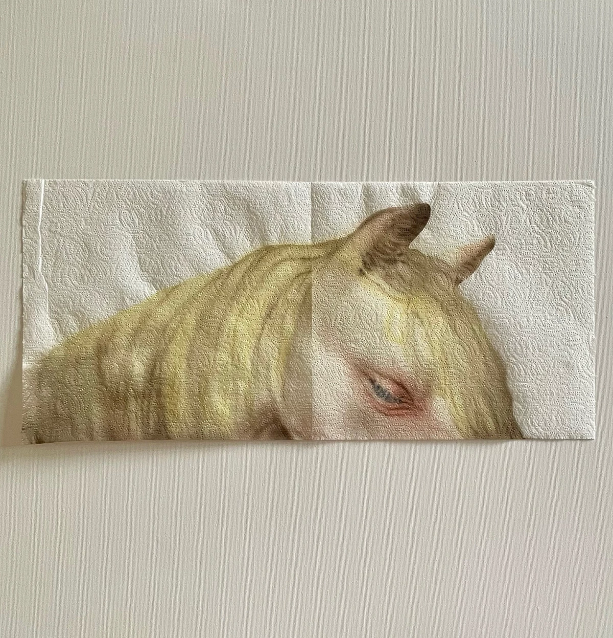 helena-minginowicz-peinture-toilette-papier-cheval-7