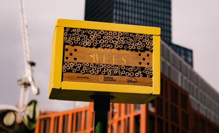 hero-national-geographic-abeilles-fleurs-1