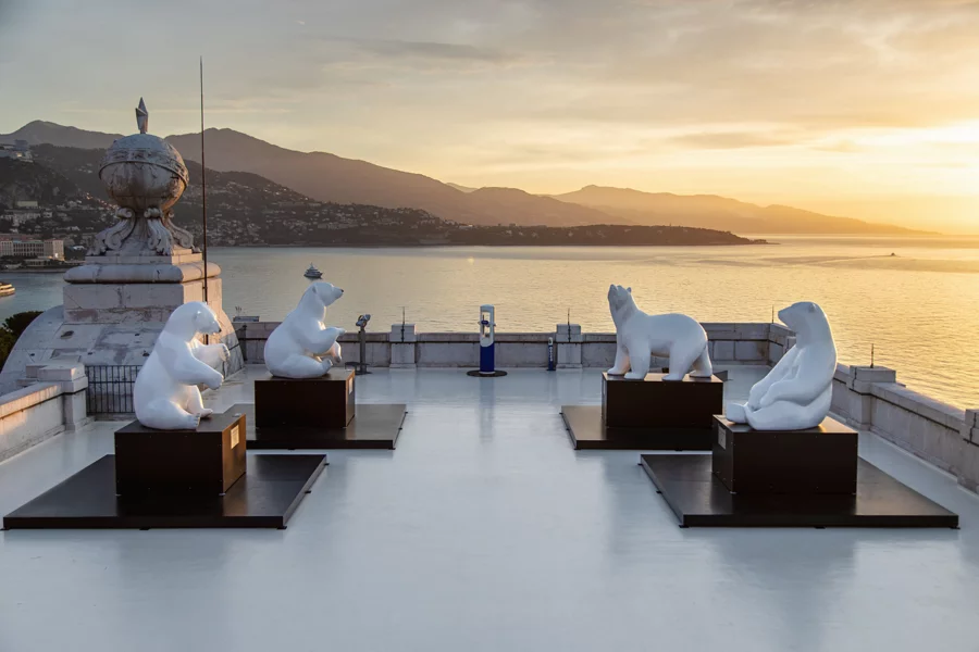 les-ours-blanc-michel-bassompierre