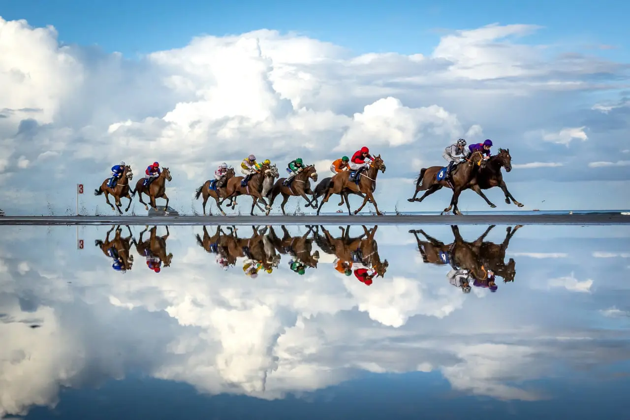 world-sports-photography-awards-2026-images-sport-photos-primees-13.jpg