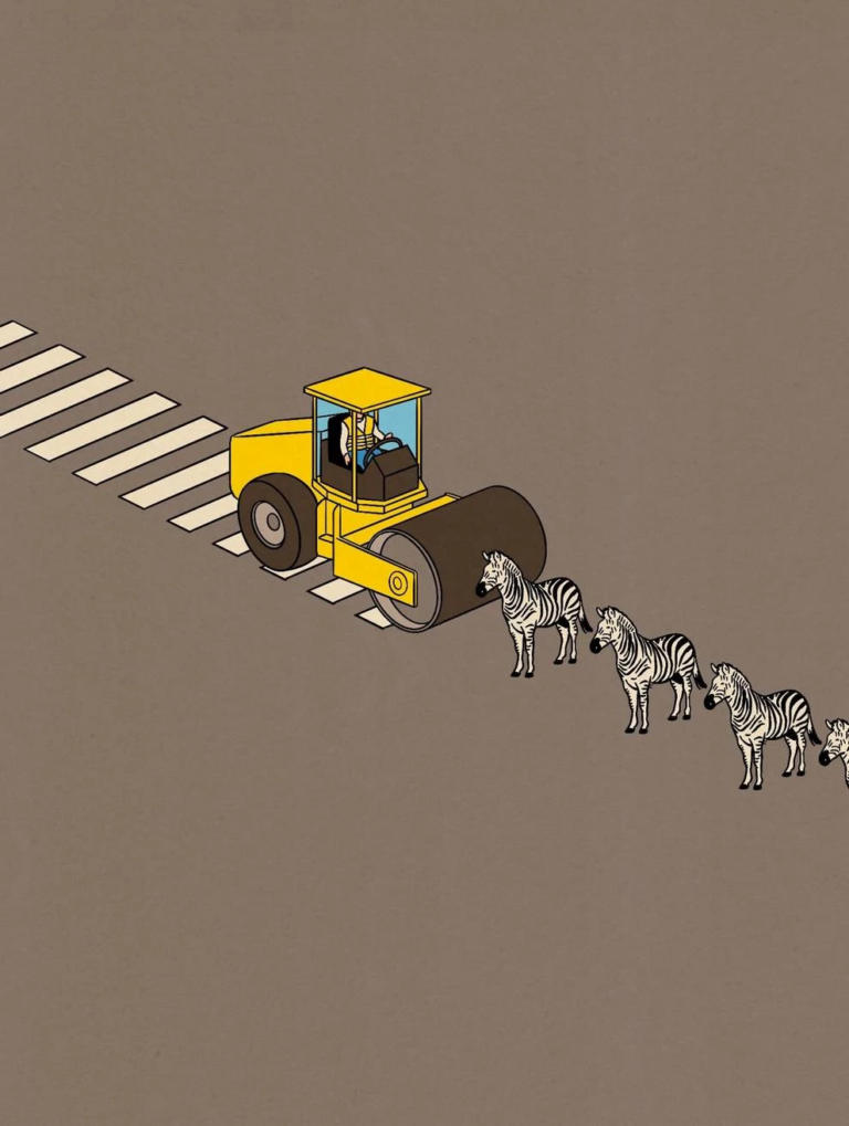 zebra illustration