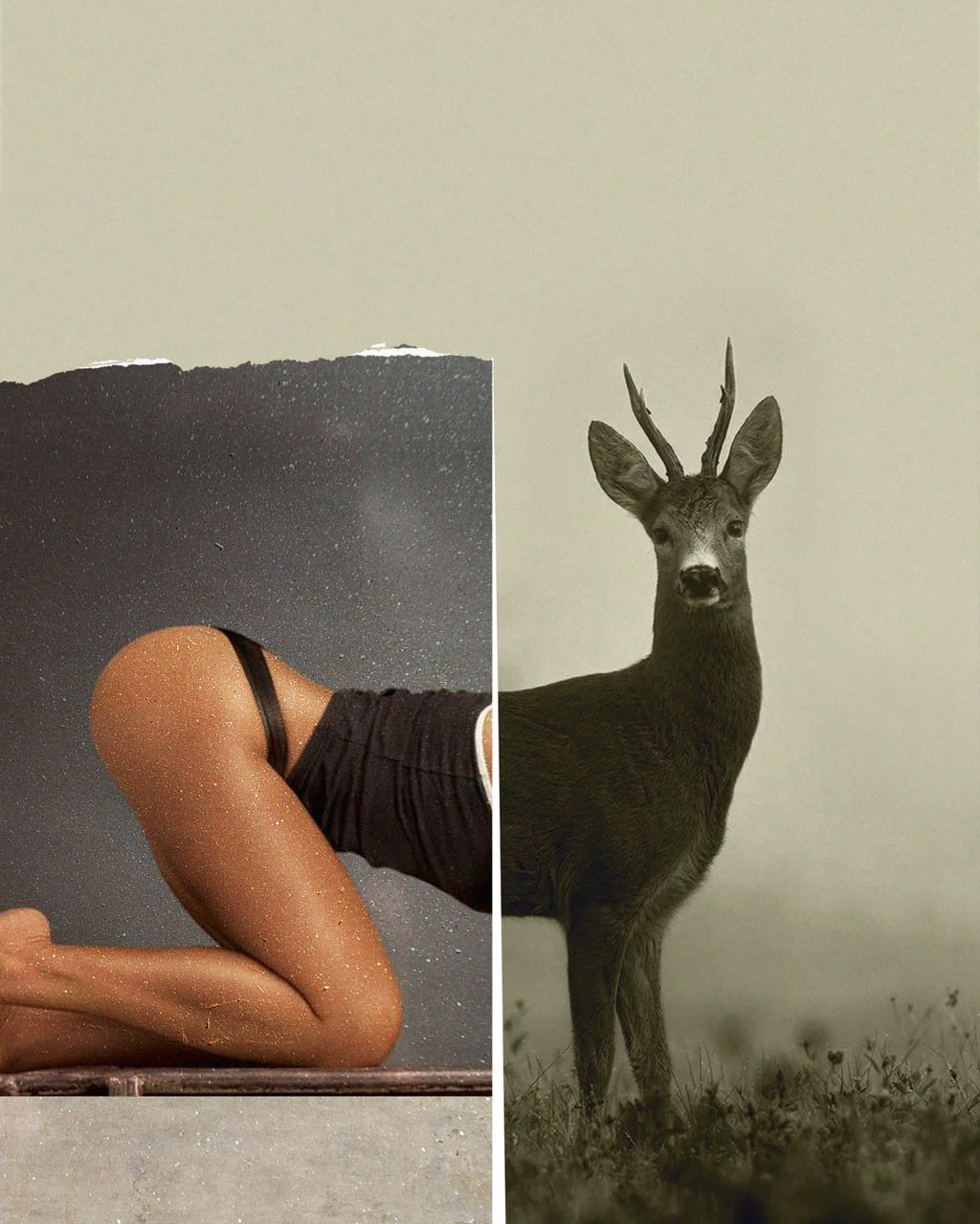 Bambi-art