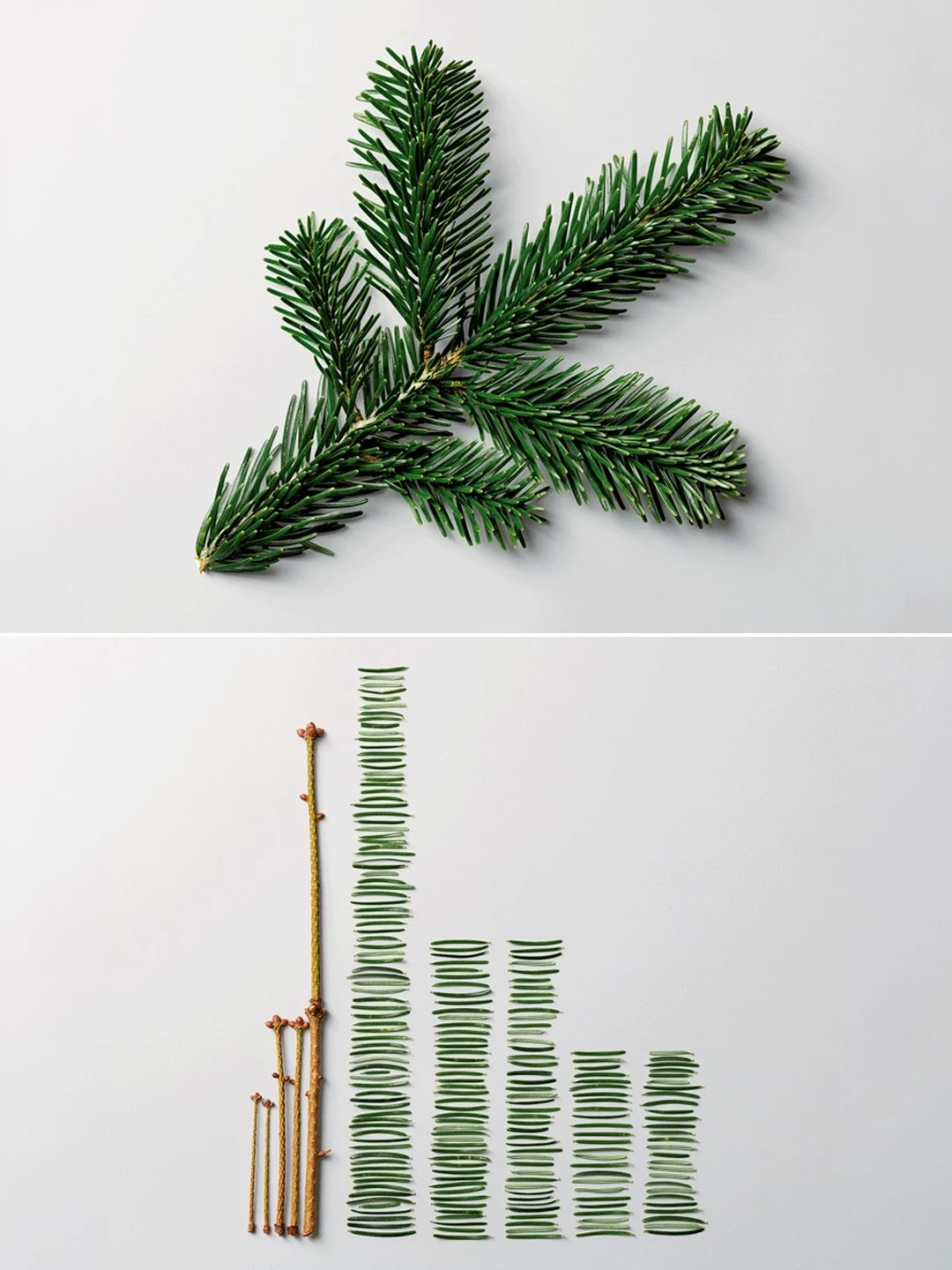 The Art of Clean Up is a project by Ursus Wehrli that transforms chaos into structured arrangeme (1)