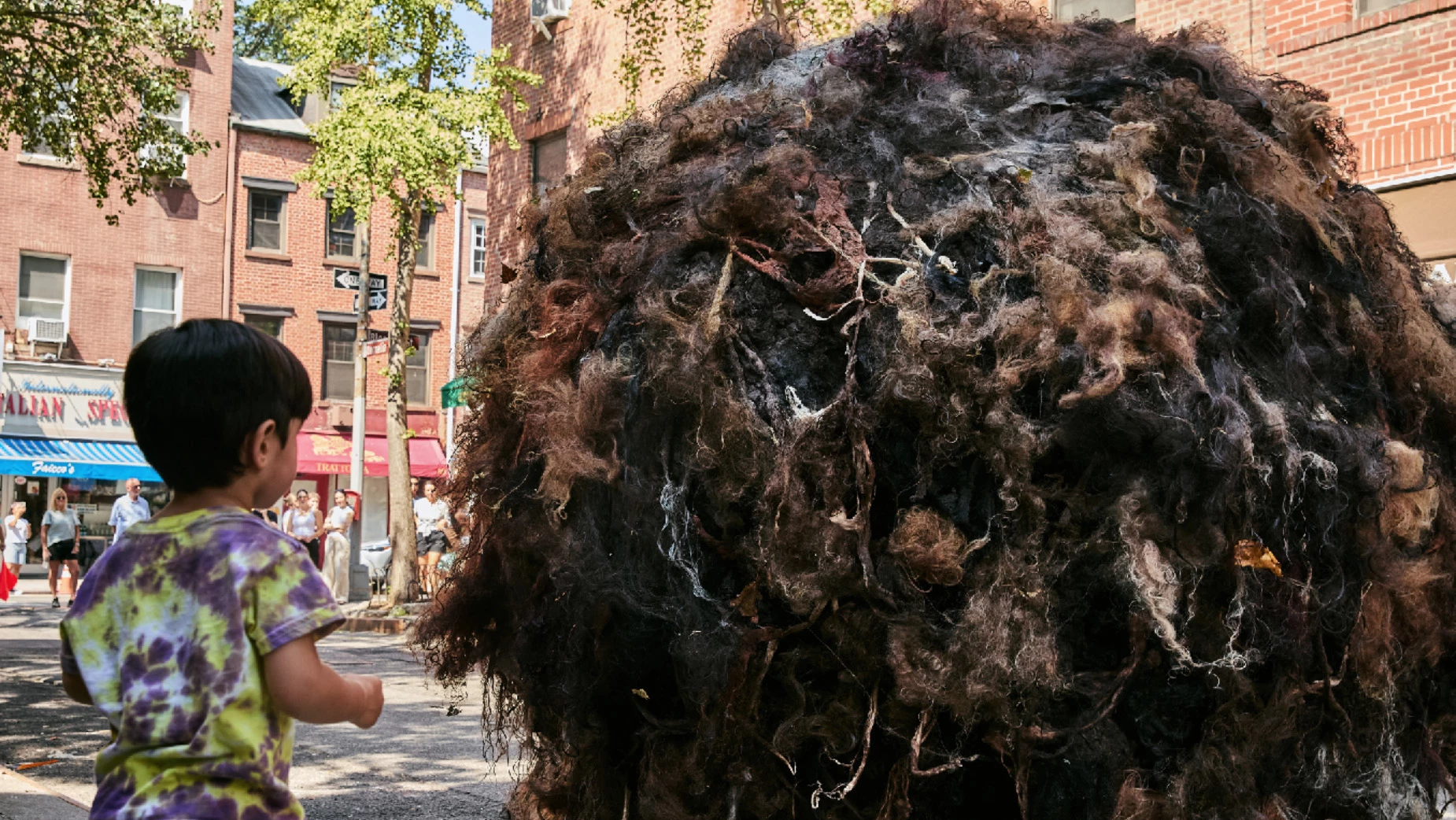 boule-de-cheveux-NY