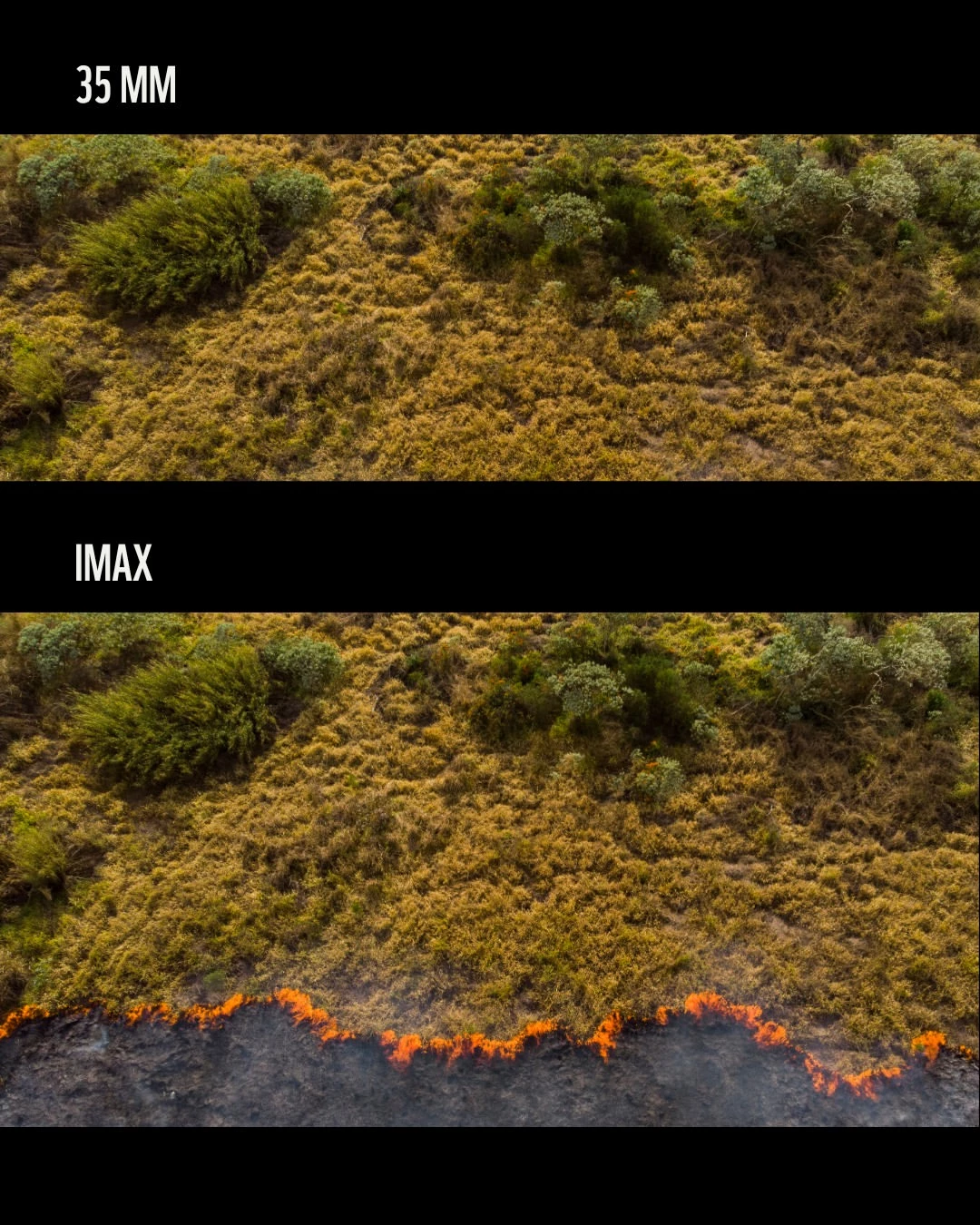 imax-wwf-on-fire
