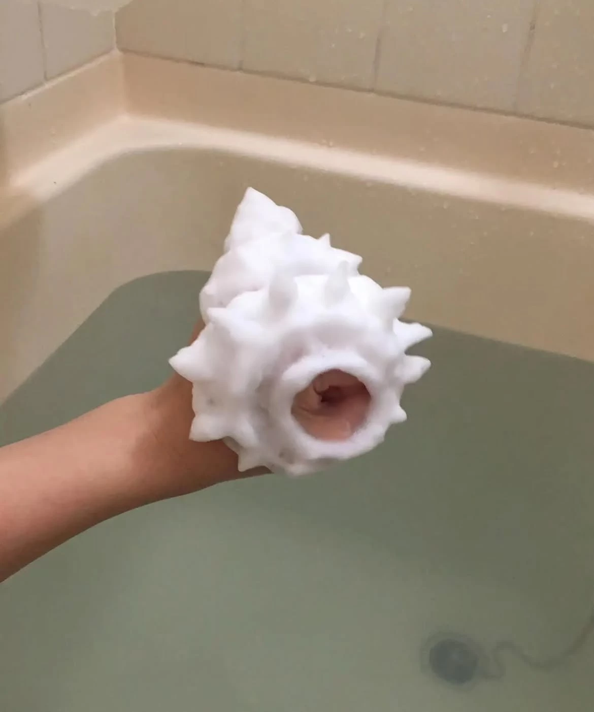 sculpture-studio-bath-coquillage