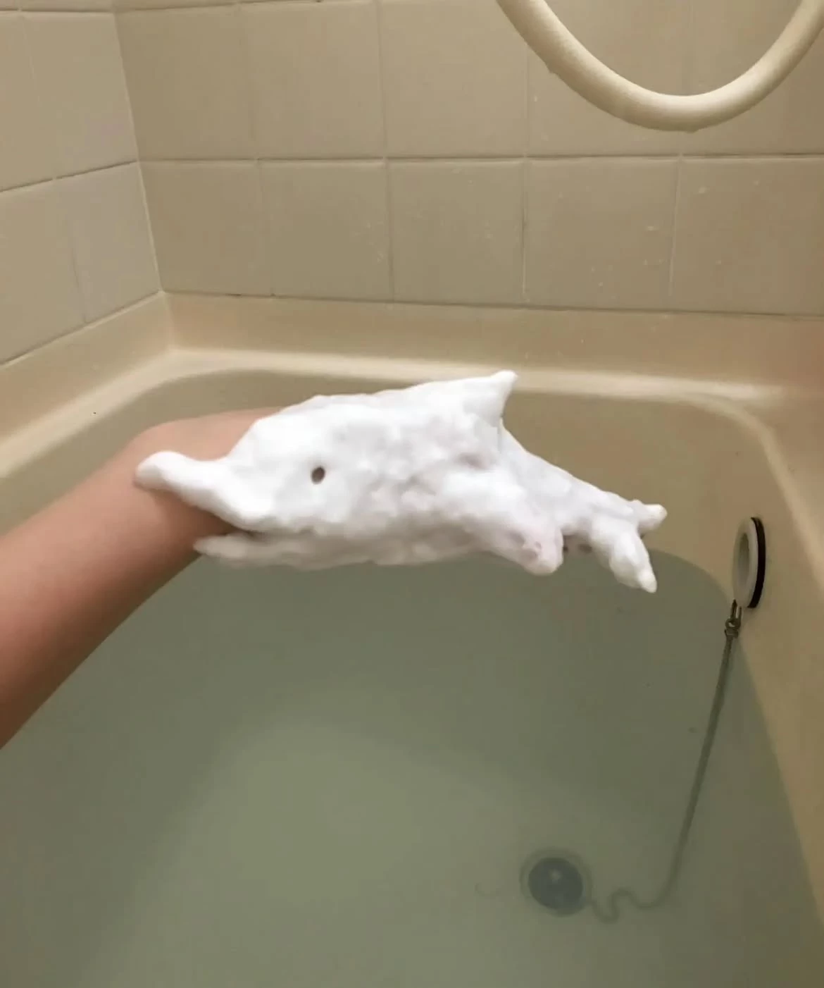 sculpture-studio-bath-dolphin