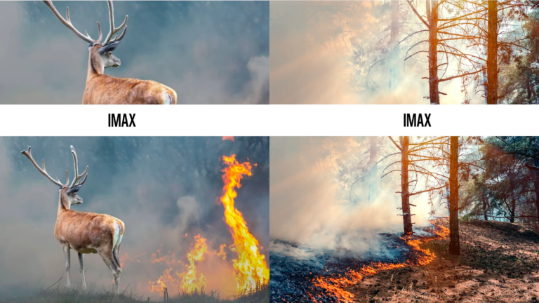 WWF-IMAX-TREND