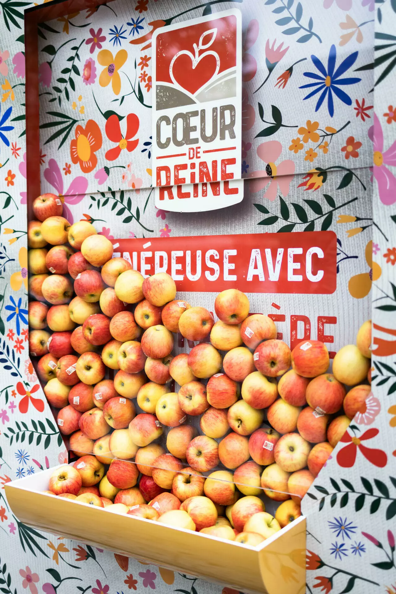 Verywell@françois_lesage